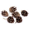 Přírodní šišky k zavěšení (Balení 6 ks, Varianta hnědá)