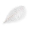 Pštrosí peří délka 40-45 cm nebělené (Balení 1 ks, Varianta bílá přírodní)