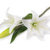 Umělá větvička lilie (Balení 1 ks, Varianta bílá)