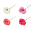 Umělá gerbera dlouhá (Balení 1 ks, Varianta 1 krémová světlá)