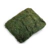 Dekorační přírodní mech 250 g (Balení 1 sáček, Varianta zelená)