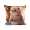Sametový povlak na polštář pes, kočka 45x45 cm (Balení 1 ks, Varianta 1 béžová tm. kočka)
