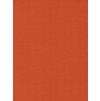 dolaro 31