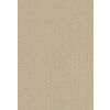 51364 29 stropnice 170 cm