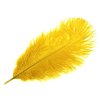 Pštrosí peří délka cca 20-25 cm (Balení 10 ks, Varianta 11 šedá holubí)