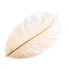 Pštrosí peří délka cca 20-25 cm (Balení 10 ks, Varianta 11 šedá holubí)