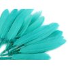 Kachní peří délka  9-14 cm (Balení 1 sáček, Varianta 10 černá)