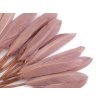 Kachní peří délka  9-14 cm (Balení 1 sáček, Varianta 10 černá)