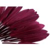 Kachní peří délka  9-14 cm (Balení 1 sáček, Varianta 10 černá)