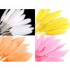 Kachní peří délka  9-14 cm (Balení 1 sáček, Varianta 10 černá)