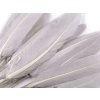 Kachní peří délka  9-14 cm (Balení 1 sáček, Varianta 10 černá)
