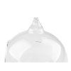 Aerárium / skleněná koule Ø15 cm (Balení 1 ks, Varianta transparent)