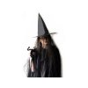Karnevalový kostým čaroděj, čarodějnice (Balení 1 sada, Varianta černá)
