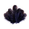 Bažantí peří délka 5-7 cm (Balení 1 sáček, Varianta 2 růžová sv.)