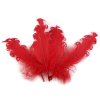 Husí peří kudrnaté délka 12-18 cm (Balení 4 ks, Varianta 17 korálová světlá)