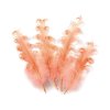 Husí peří kudrnaté délka 12-18 cm (Balení 4 ks, Varianta 17 korálová světlá)