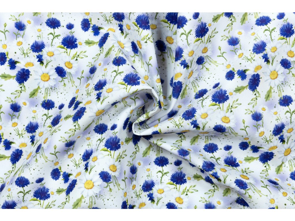 40138 1 kocarkovina chrpy a kopretiny