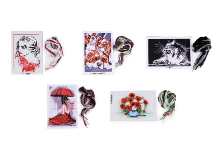 Sada vyšívání - předloha, jehla, mouline (Balení 1 sada, Varianta 1 viz foto žena)