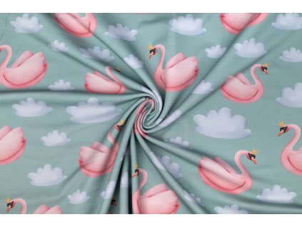 teplakovina labute v oblacich