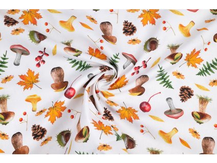 bavlna rezna podzimni lesni plody