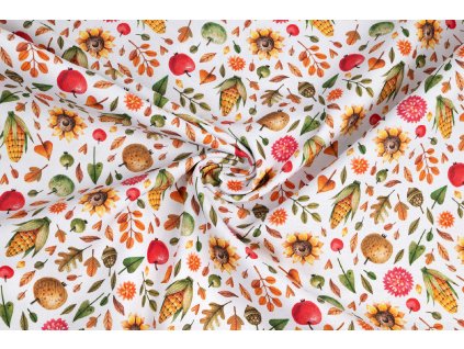 bavlna rezna podzimni plody a slunecnice