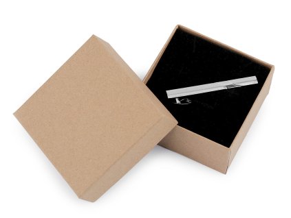 Kravatová spona v dárkové krabičce (Balení 1 ks, Varianta platina)