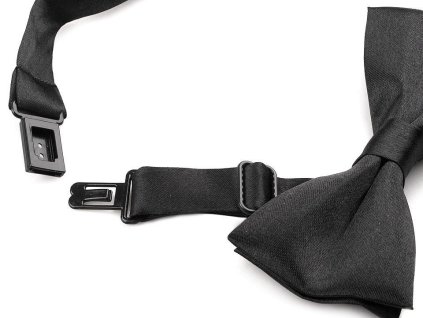 Malý saténový motýlek (Balení 1 ks, Varianta 1 černá)