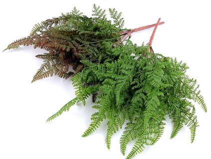 Umělé kapradí 2. jakost (Balení 1 svaz., Varianta 1 zelené kapradí)