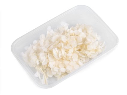 Sušené / stabilizované hortenzie pro suché i mokré aranžování (Balení 1 krab.)