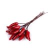 Umělé chilli papričky na drátku (Balení 12 ks, Varianta červená)
