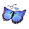 Karnevalový kostým - motýl (Balení 1 sada, Varianta 2 modrá fialová)
