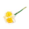 Umělý narcis svazek 3 ks (Balení 1 svaz., Varianta 3 žlutá)