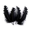 Husí peří kudrnaté délka 12-18 cm (Balení 4 ks, Varianta 17 korálová světlá)