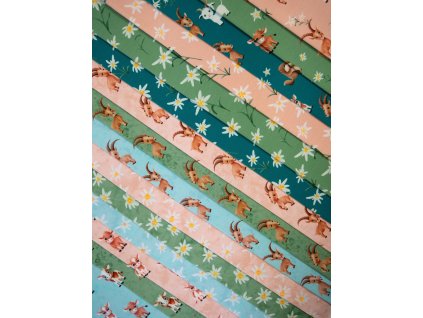 618258066 804625825921403 2671148532769025776 n