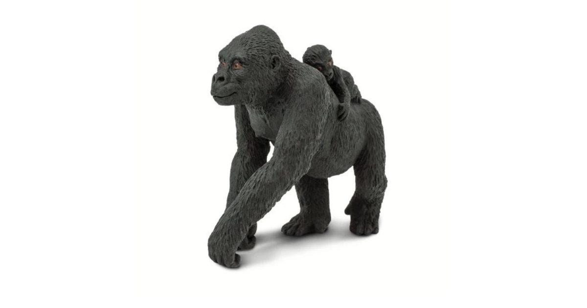 gorilla