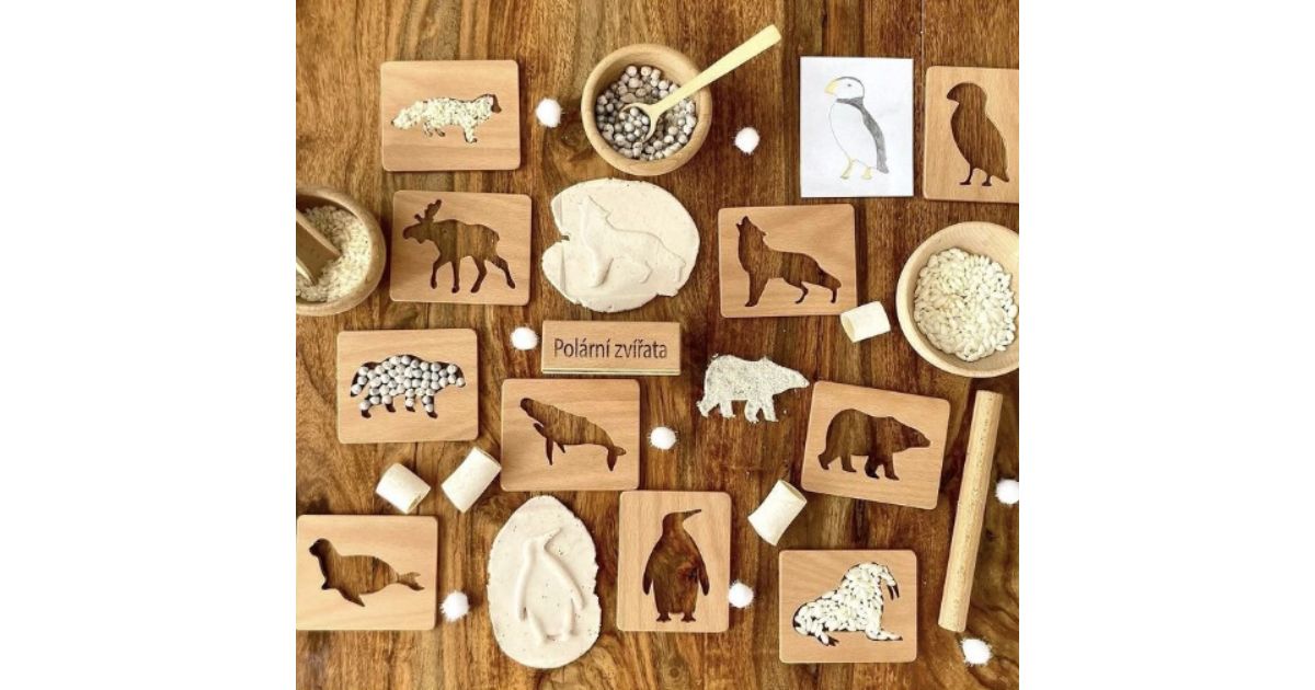 karticky-polarni-zvirata