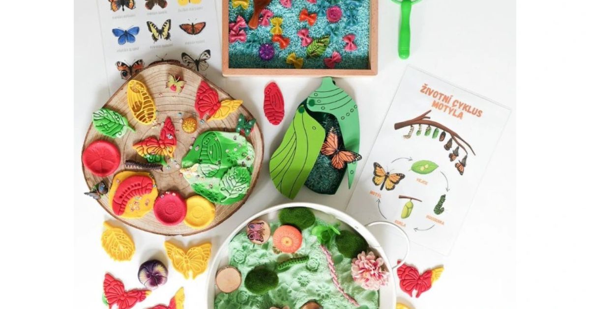 smyslobox-motyl