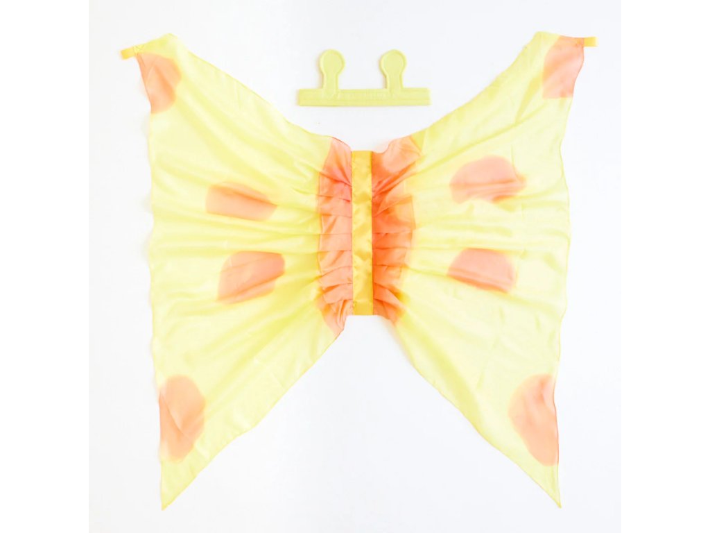 4172 1 4172 1 kostym motyl 01