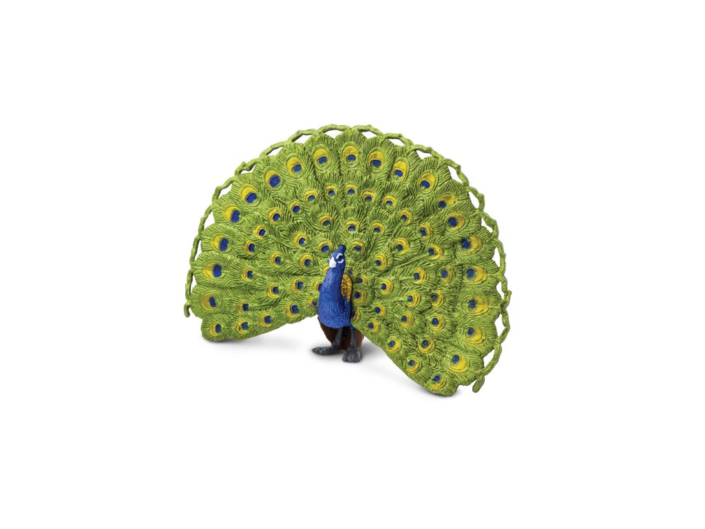 5655 5655 5655 pav 01