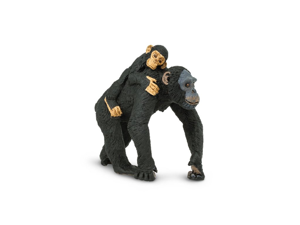 5697 5697 5697 simpanz s mladetem 01