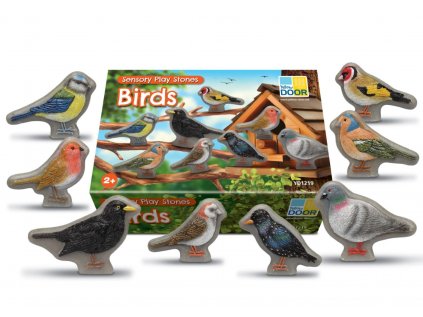 2580 1 birds2