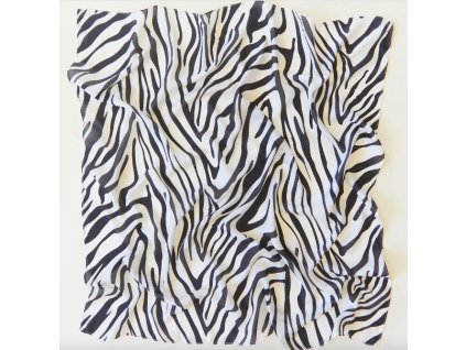 4163 4163 zebra 2024 09 24 v 12 02 13