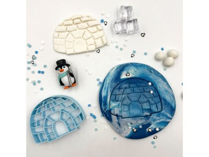4542 eco iglu 2
