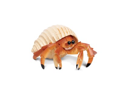 4830 2 4830 2 krab poustevnik