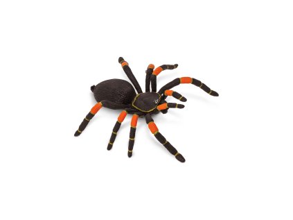 4899 2 4899 2 tarantule s oranzovymi koleny