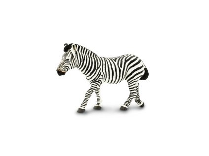 4941 1 zebra 2