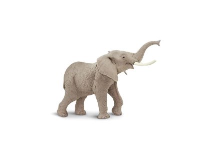 4950 2 4950 2 slon africky