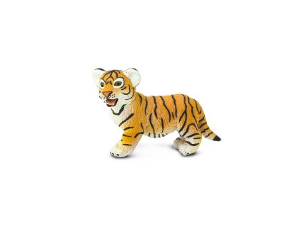 4965 2 mlade tygra bengalskeho