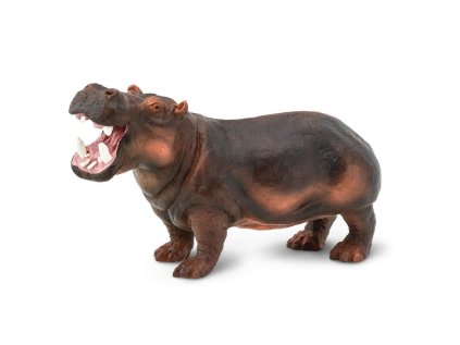 4968 1 hippopotamus 437064