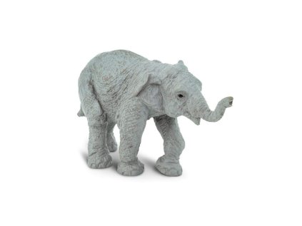 4980 1 asian elephant baby 630477